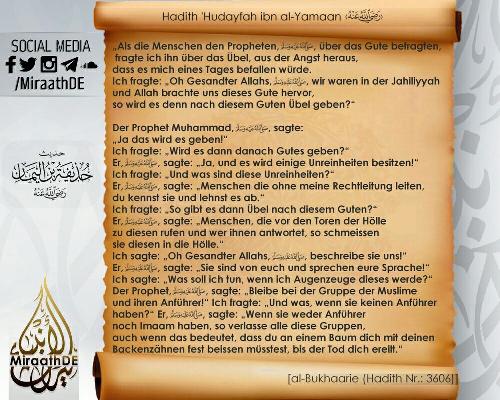Bild 23
