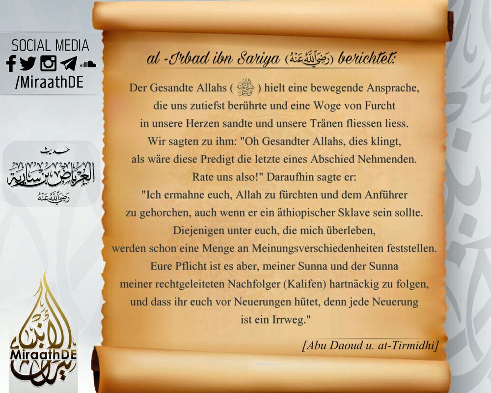 Bild 25