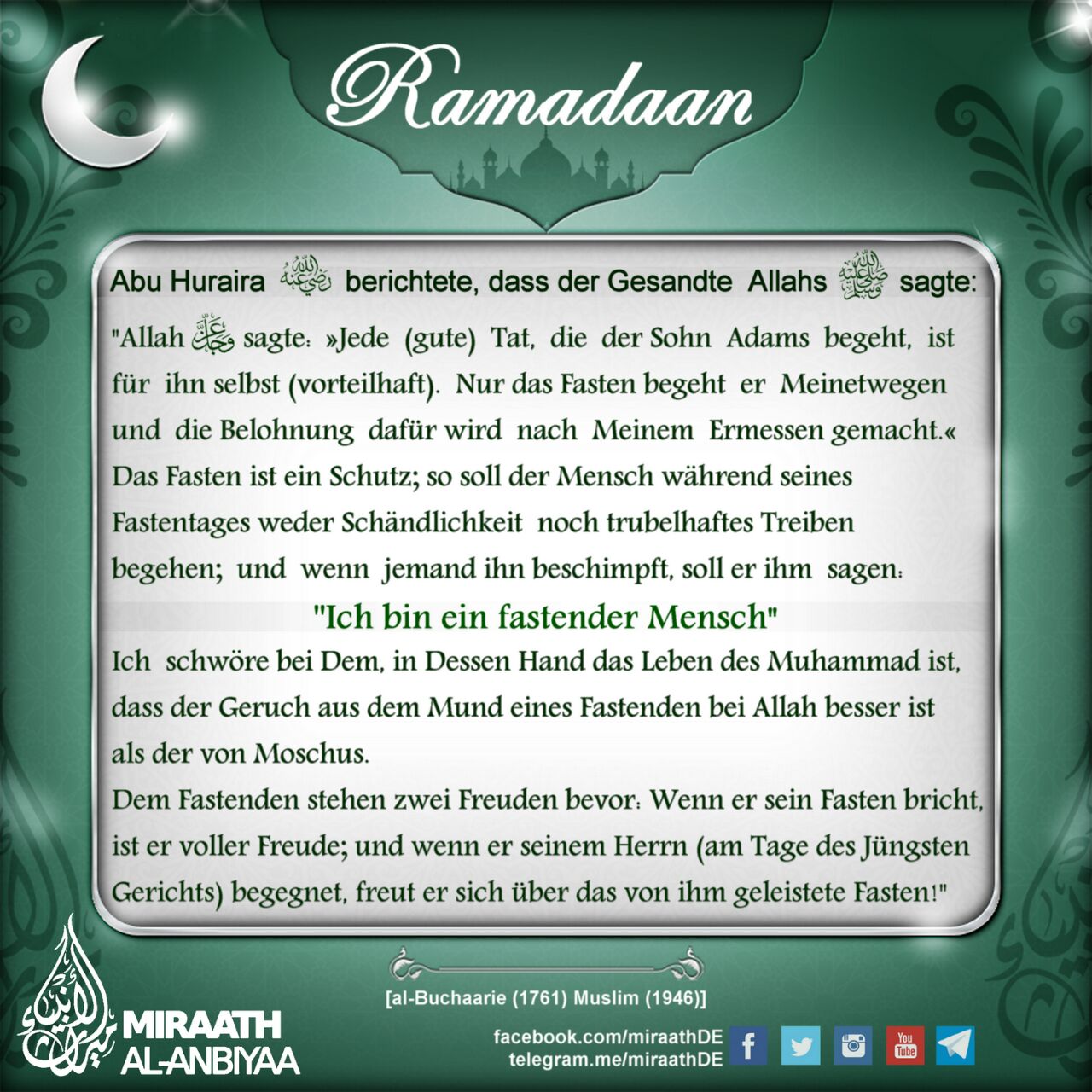 Bild 35