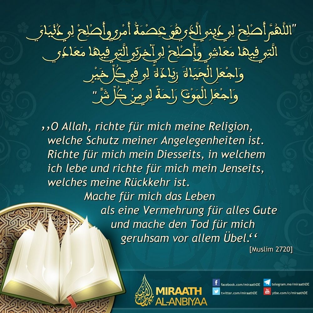 Bild 48