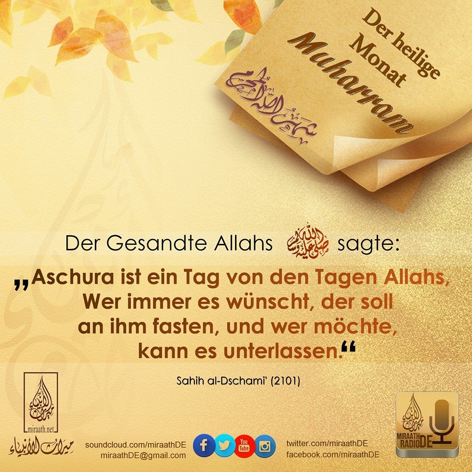Bild 49