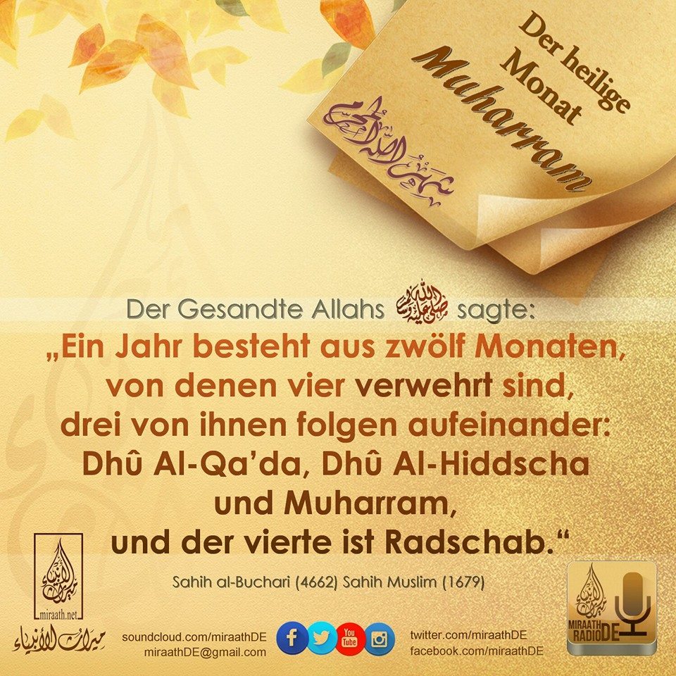 Bild 51