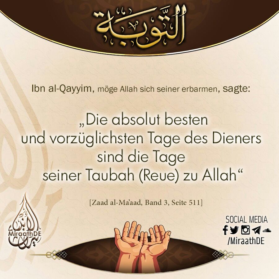 Bild 56